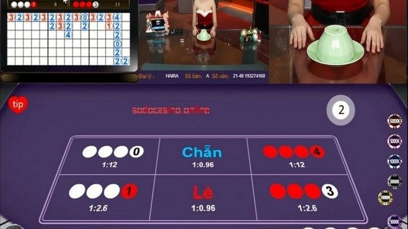 Bảng vị xóc đĩa là Gì? Cách đọc & bắt cầu chuẩn như cao thủ 2 Bảng vị xóc đĩa hiển thị lịch sử cược